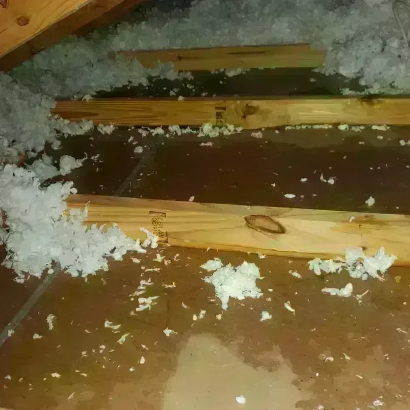 Attic Water Damage in Greenville, MS