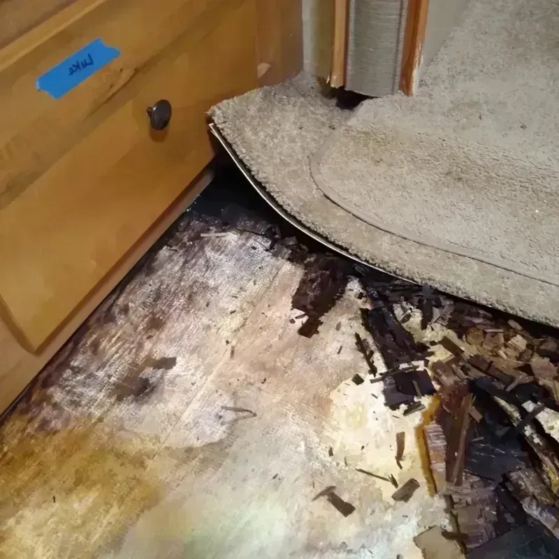 Wood Floor Water Damage in Greenville, MS